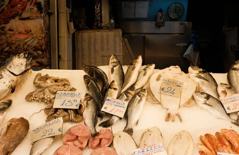 Fortune on the Plate: Why Japan's Most Auspicious Fish Also Happen to Be Its Most Delicious