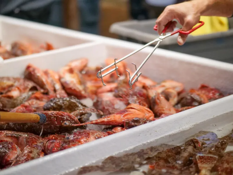 Beyond the Price Tag: How Japanese Chefs Choose Ingredients by Instinct and Relationship