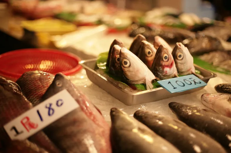 What Japanese Fish Markets Know That American Grocery Stores Don't